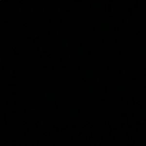 Meet your Posher, Ava